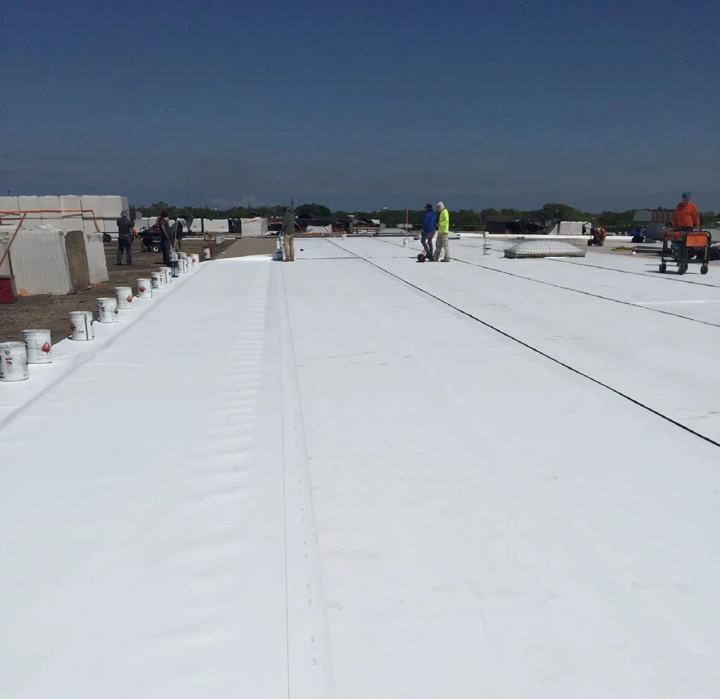 TPO roof from Paul Cadena’s professional experience portfolio